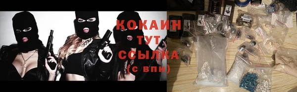 индика Абаза