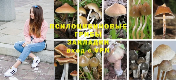 мяу мяу кристалл Алзамай