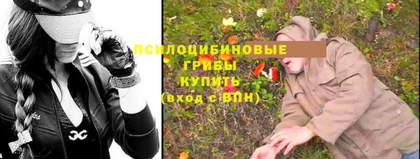 прущие грибы Алексин