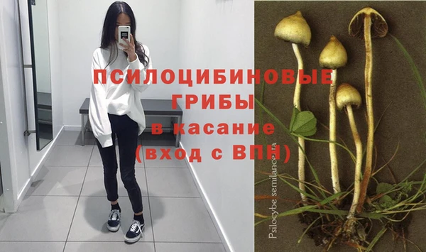 мяу мяу мука Абинск