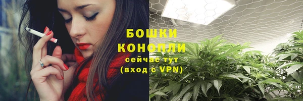PSILOCYBIN Михайловка