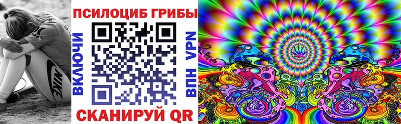 где продают наркотики  Черкесск  Псилоцибиновые грибы MAGIC MUSHROOMS 