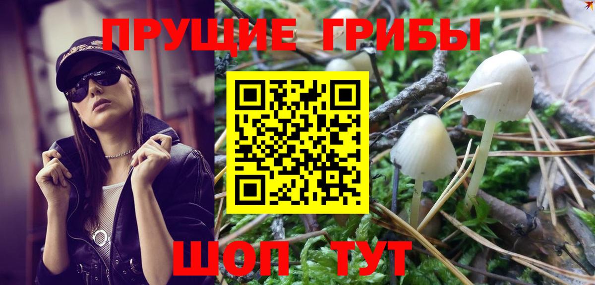 Псилоцибиновые грибы ЛСД  Вход с VPN  Черкесск  Псилоцибиновые грибы Psilocybe 