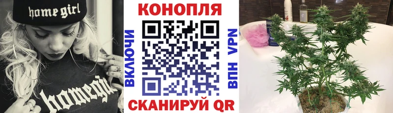 Марихуана SATIVA & INDICA  купить закладку  Черкесск 
